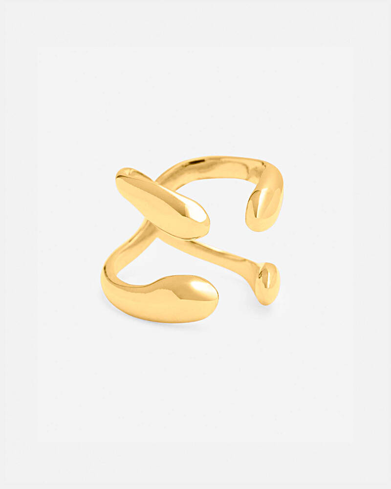 Hope Double Ring in Gold Vermeil