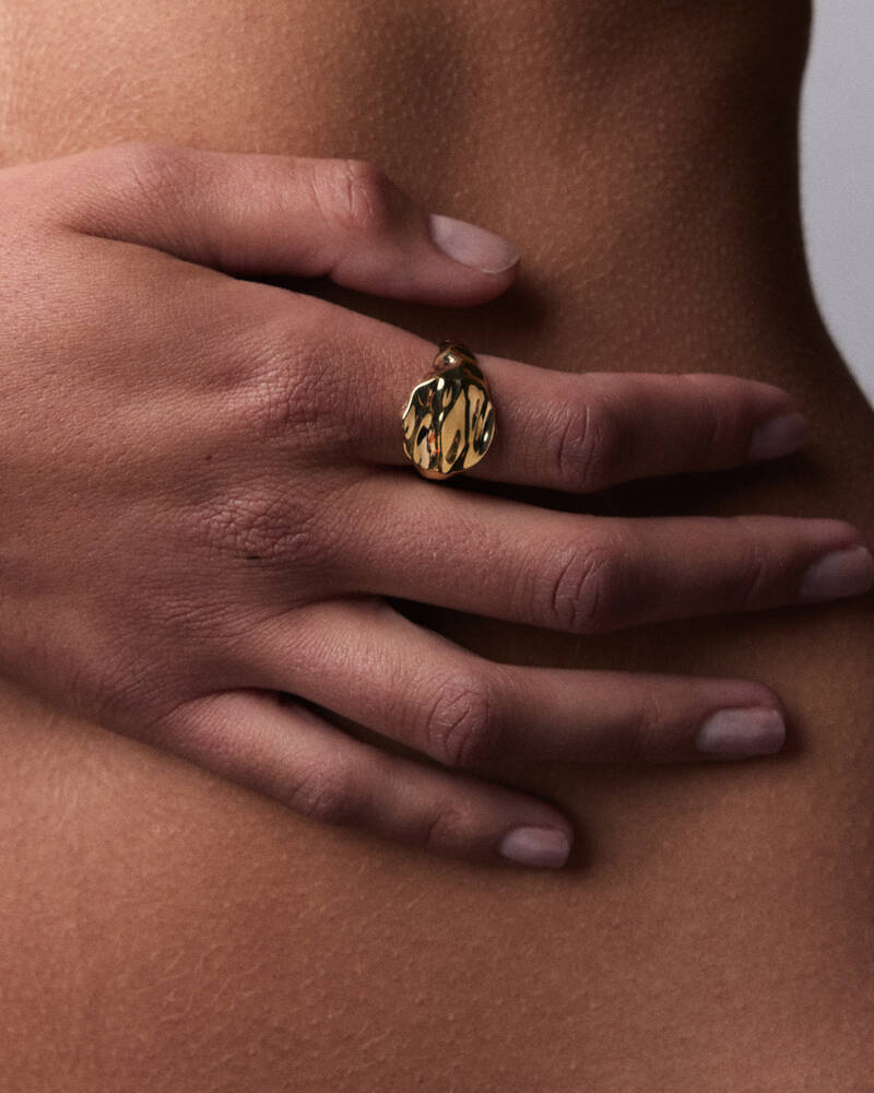 Celestial Signet Ring in 18K Gold Vermeil